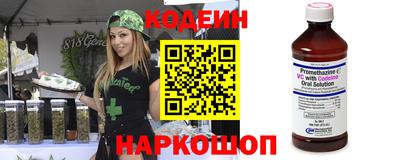 амф Кингисепп